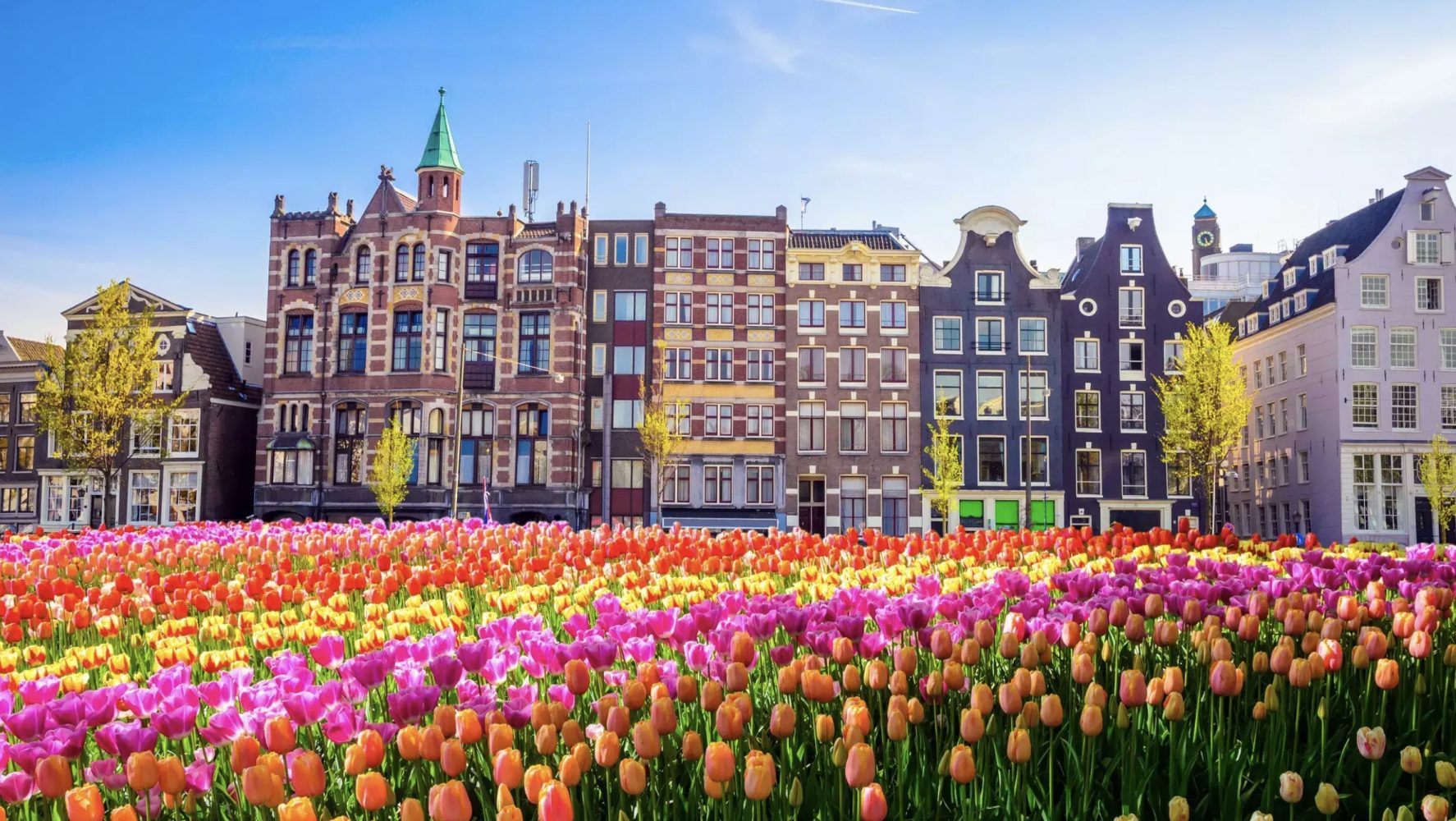 Cần chuẩn bị gì khi du lịch Hà Lan?